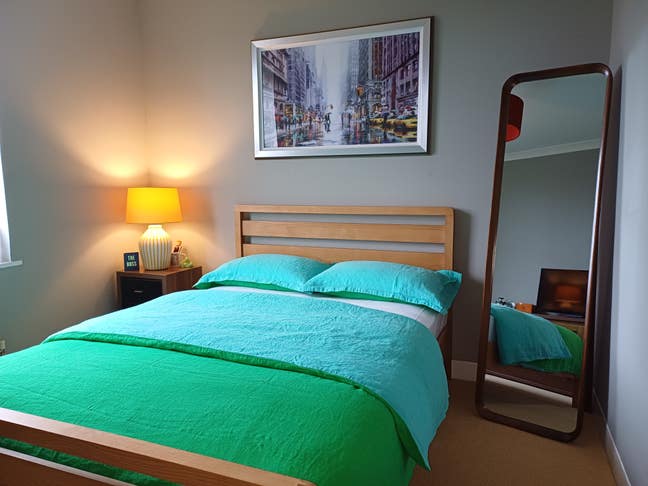 Beautiful apartment large with 1 cat  Main Photo