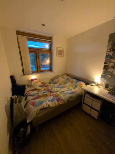 Queer Nerd Seeks New Flatmate in N5 Main Photo