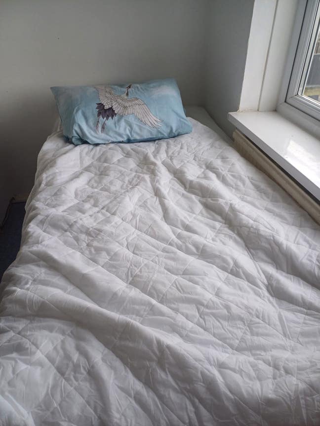 Beautiful room Available immediately. Main Photo