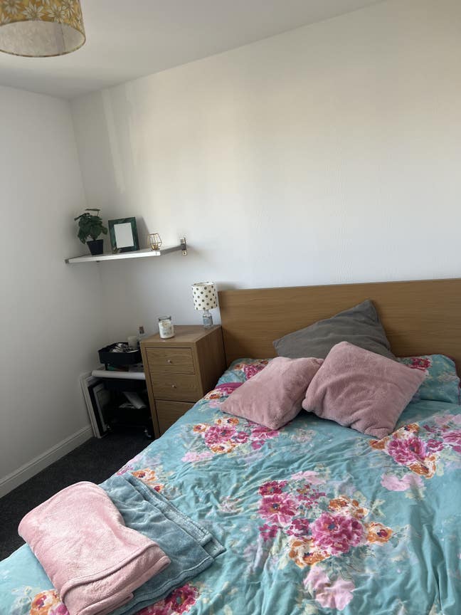 Room available in cosy flat  Main Photo