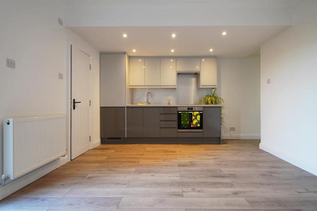 Quiet, newly renovated 1 Bed garden Flat.  Main Photo