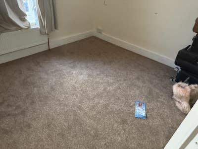 1 bedroom in 2 bedrooms flats  Main Photo