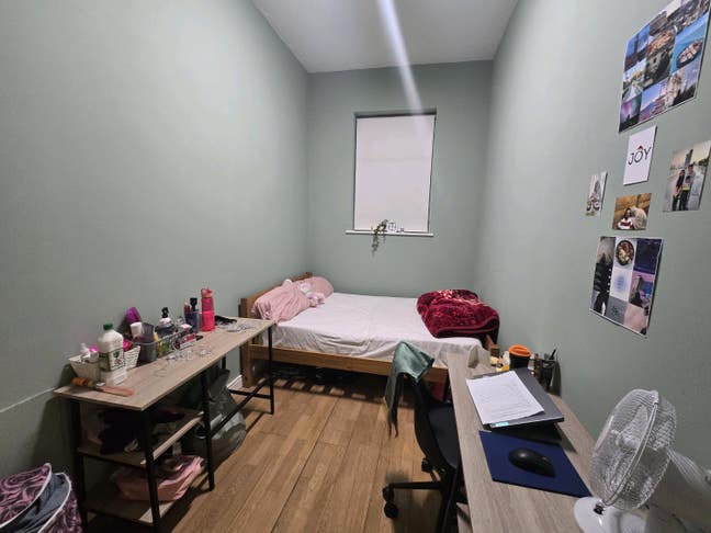 Cozy room available  Main Photo
