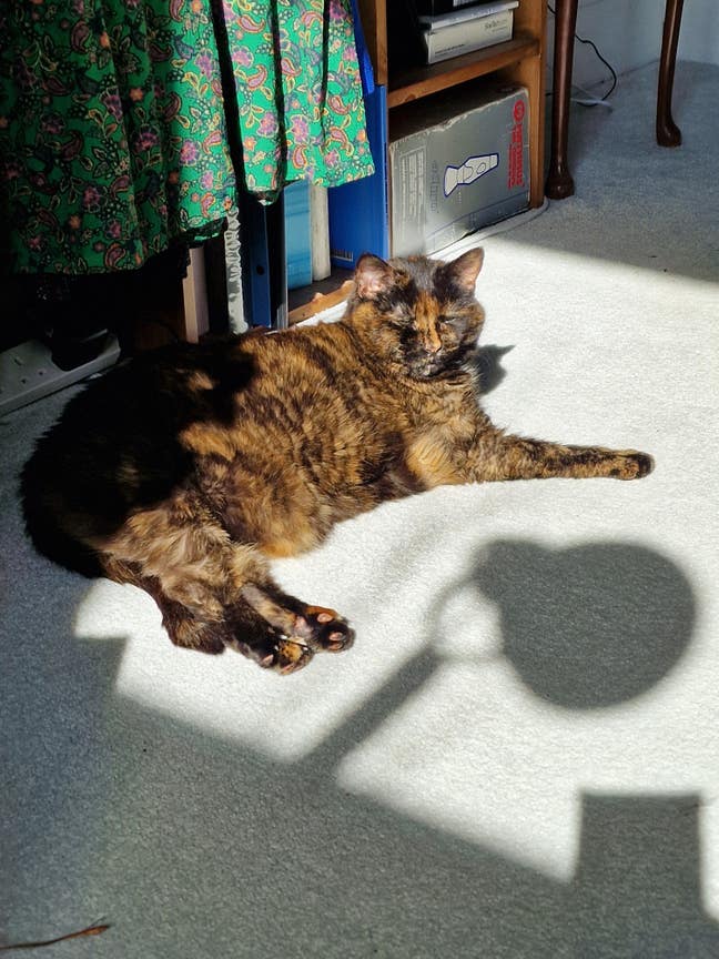 Mon-Fri let Double room off Gloucester Rd Central Main Photo