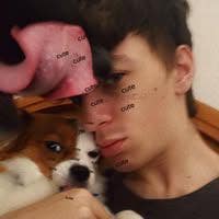Student Male seeks a single or double room Main Photo