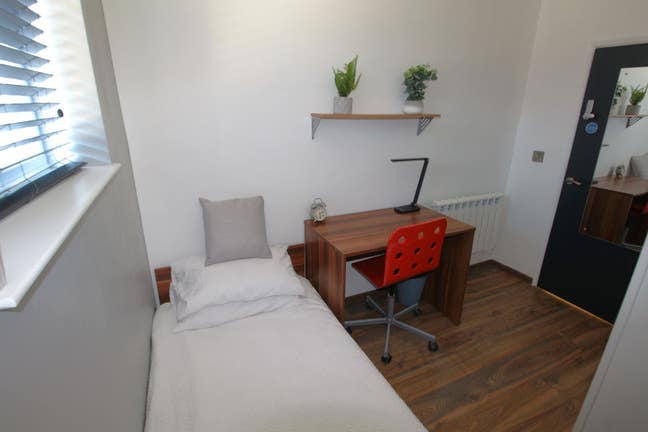 Single Room in House Share! Main Photo