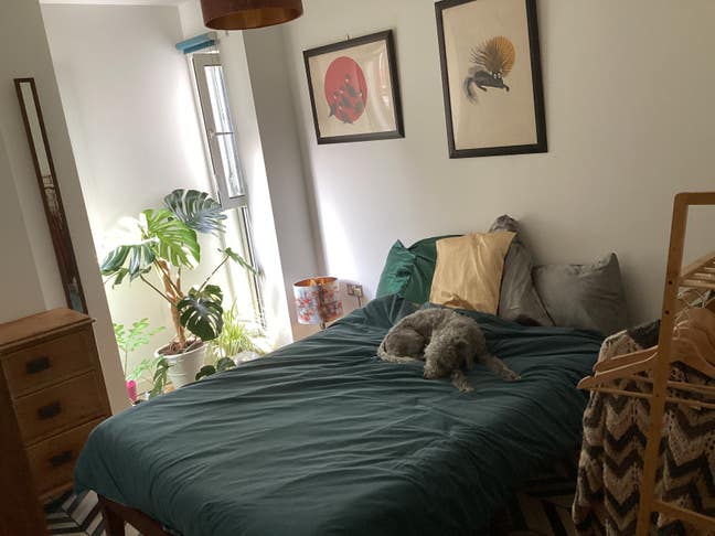 Peaceful double room green oasis near Canary Wharf Main Photo