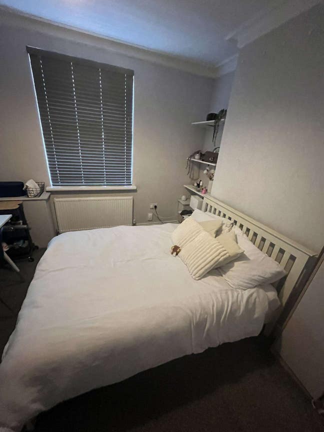 1 Room available for student housing Main Photo