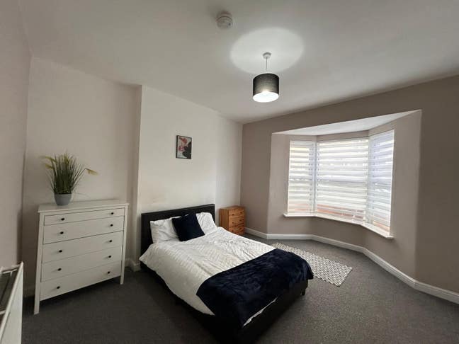 Friendly houseshare in Sheffield S2 area! :) Main Photo