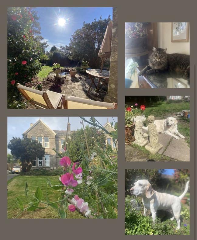 Sunny double room in beautiful home Main Photo