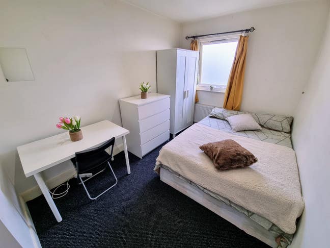 Lovely Single Room in Willesden Junction Main Photo