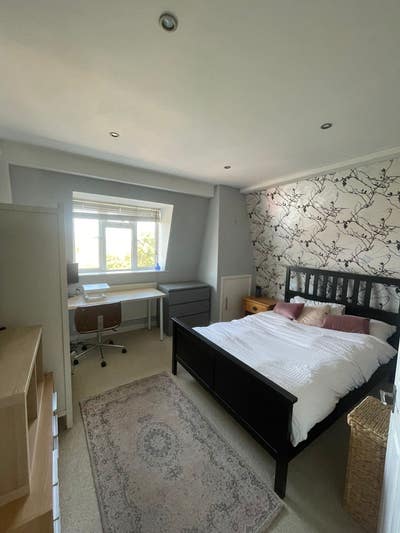 Good size double in friendly flat share Main Photo