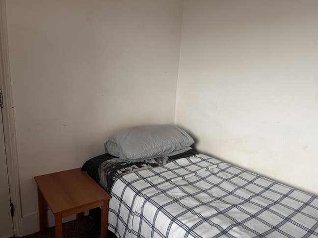 Central Windsor- Nice Room in clean friendly house Main Photo