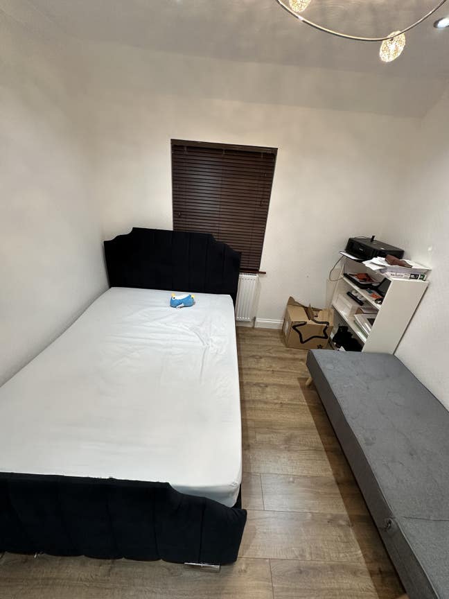 Looking for Asian female Tenant Main Photo