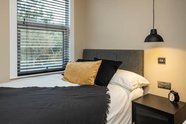 Double Ensuite Room in Quality Co-Living Main Photo