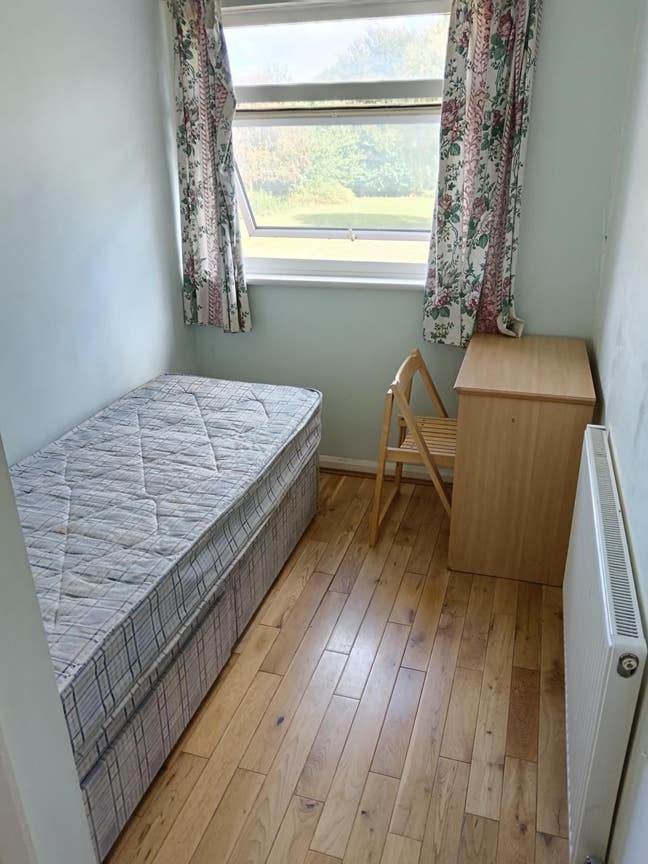 Single Room to Let Main Photo
