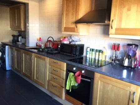 Homely House Share Available In Edgbaston Main Photo