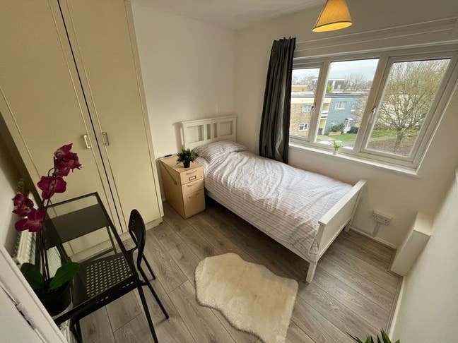 ☘️ Beautiful Single Room with Garden- Basildon Main Photo