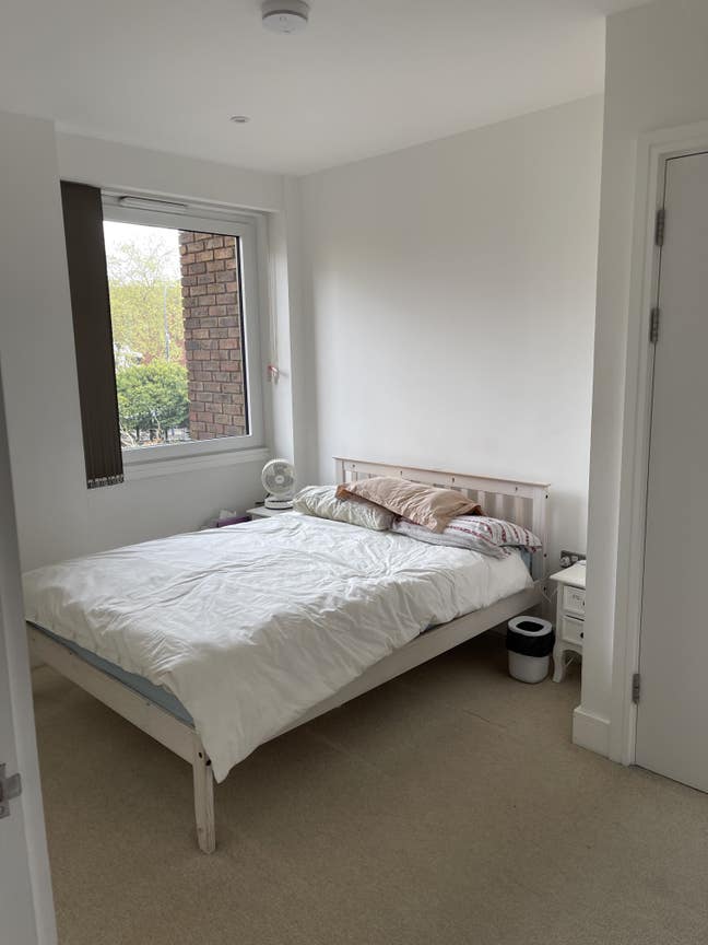 Bright Double Ensuite in Lewisham (5 months only) Main Photo
