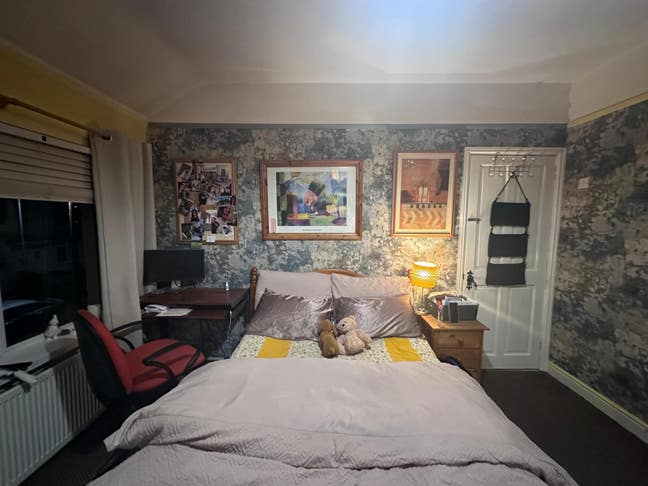 Looking for a cat friendly housemate Main Photo