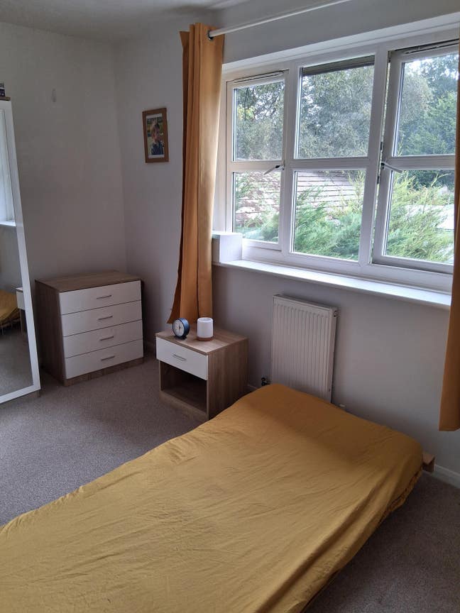 Single Room Available in a Quiet Area Main Photo