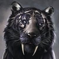 39 year old Male seeks a single or double room Main Photo