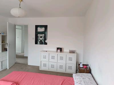 ✨ Flatmate Wanted – Bounds Green ✨ Main Photo