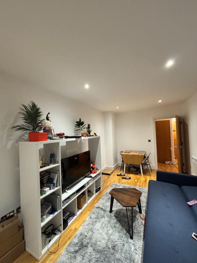 1 bhk flat avaliable for rent from 1st SEP Main Photo