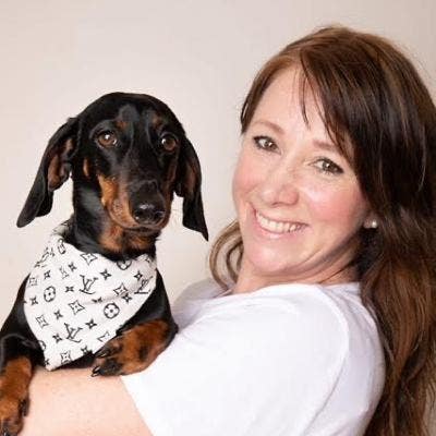 Looking For a Dog Friendly Home :) Main Photo