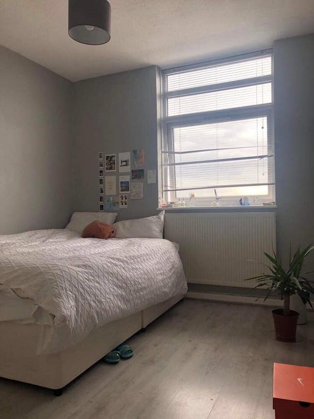 Large Double Bedroom/ No Couples  Main Photo