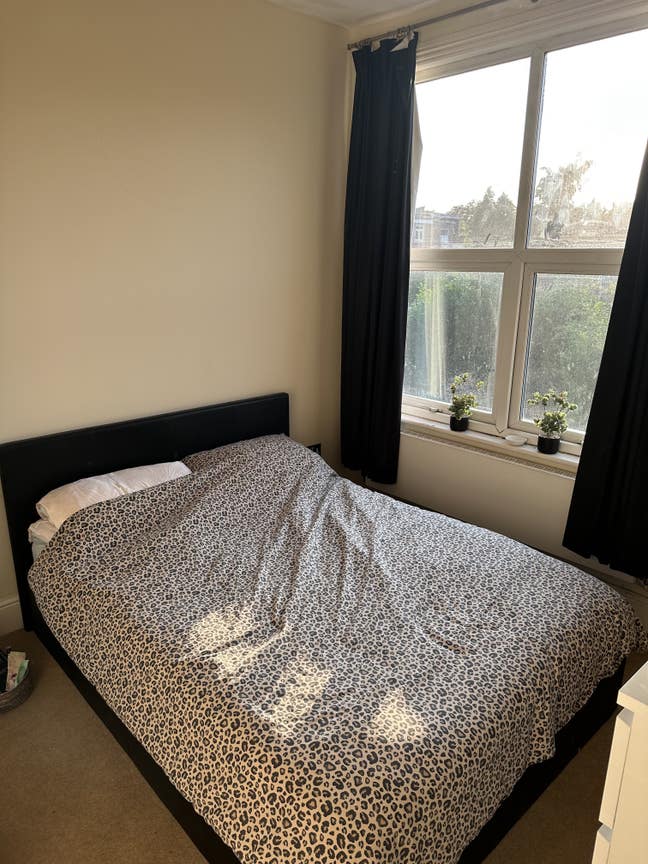 Bright spacious room, in NW London  Main Photo