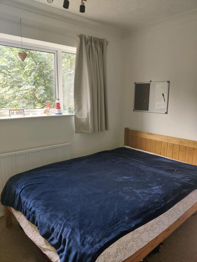 Double room for single Professional female Main Photo