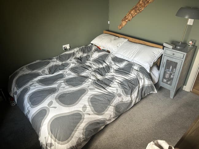 Cosy room in bright apartment in East Dulwich Main Photo