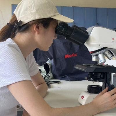 I am a female student aged 25. I am looking f... Main Photo