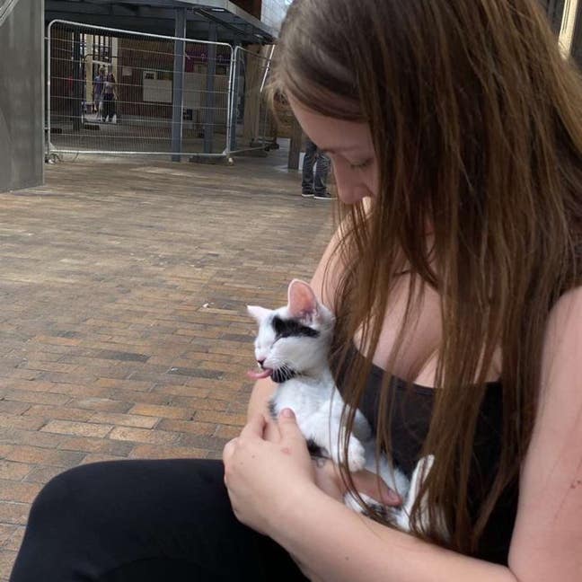 need a double room ASAP Main Photo