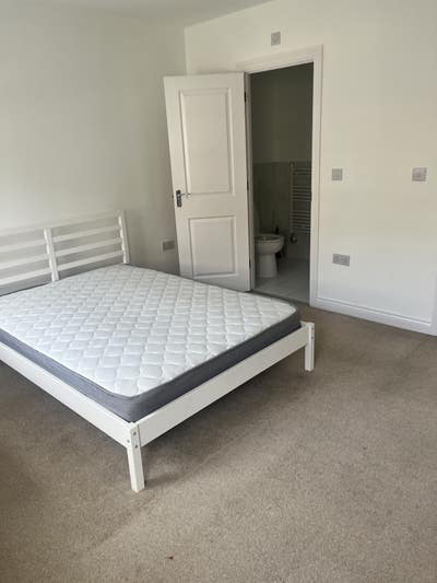 Professional House share - (read description) Main Photo