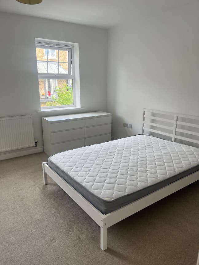 Professional House share- (read description) Main Photo