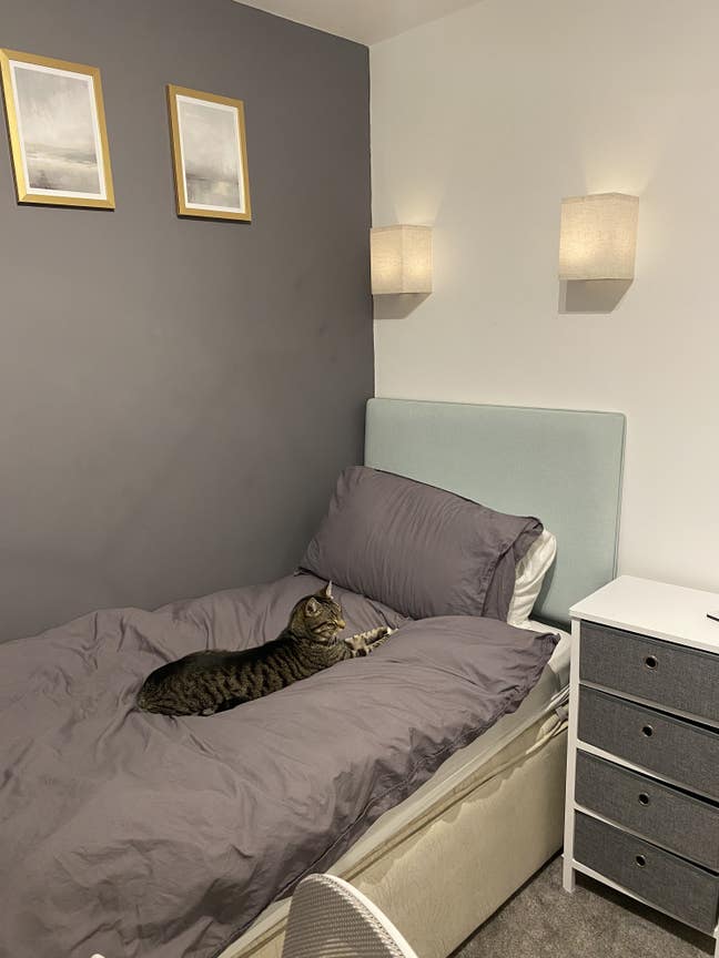 Single Bedroom To Rent Near Centre Of Wantage Main Photo