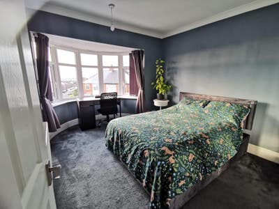 🌿 Homeshare – Available from 19Th October Main Photo