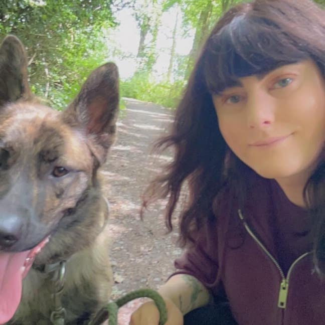 Looking for a flat or house to rent  Main Photo