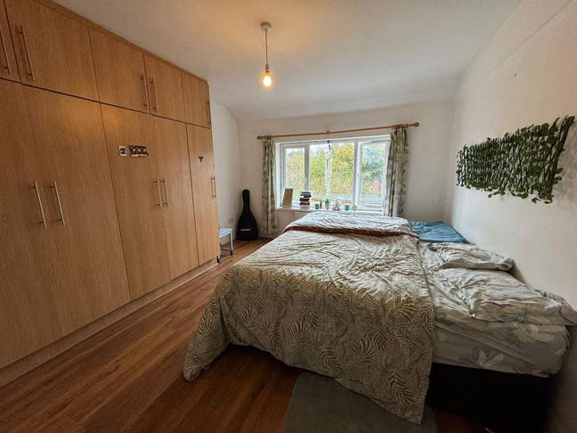 Looking for a Roommate  Main Photo