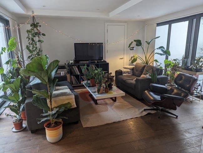 Friendly flat looking for vibey new flat mate!  Main Photo