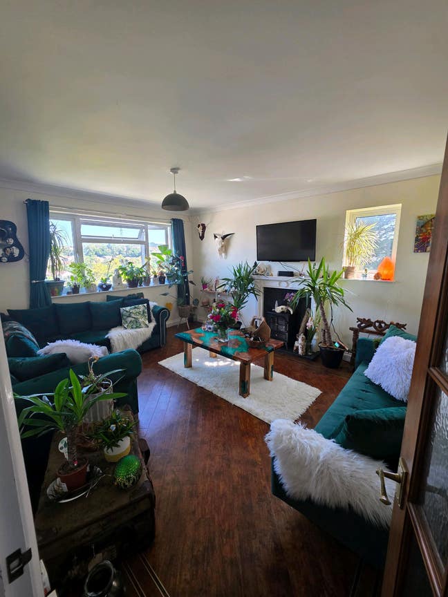 Looking for a chilled roommate  Main Photo