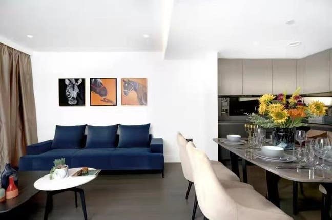 Luxury Apartment with New Year Fireworks  Main Photo