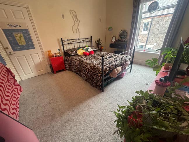 Double room for rent in Aigburth Main Photo