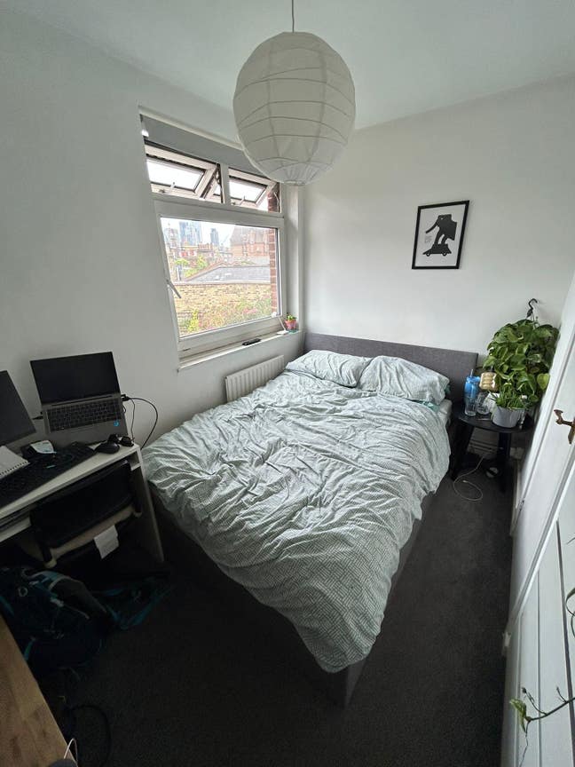 Small Double Columbia Road Main Photo