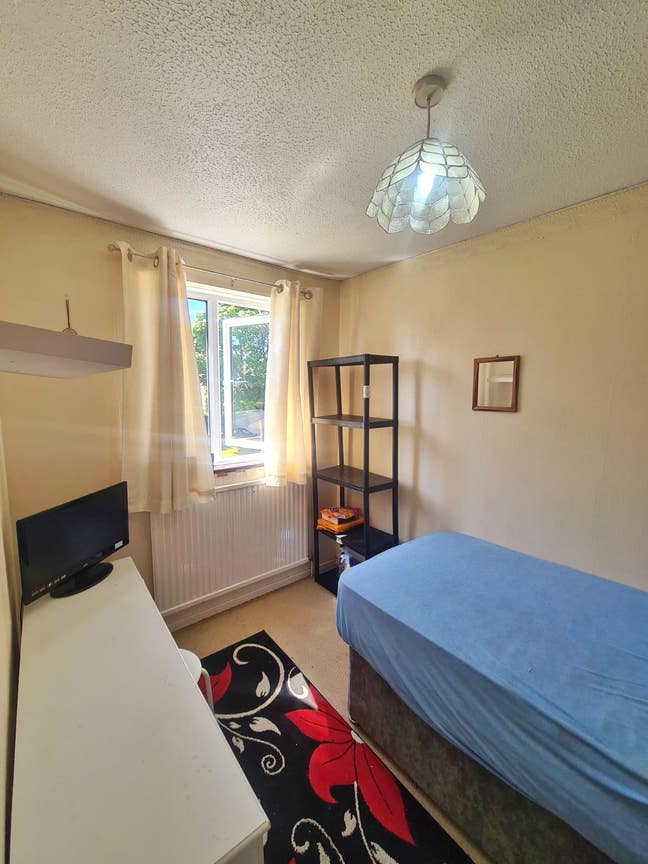 Single room for rent Main Photo