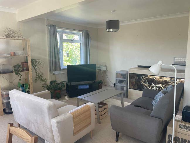 Double room available in 2 bed bungalow Main Photo