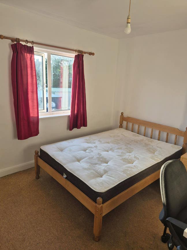 Filton house share ( students/professionals) Main Photo
