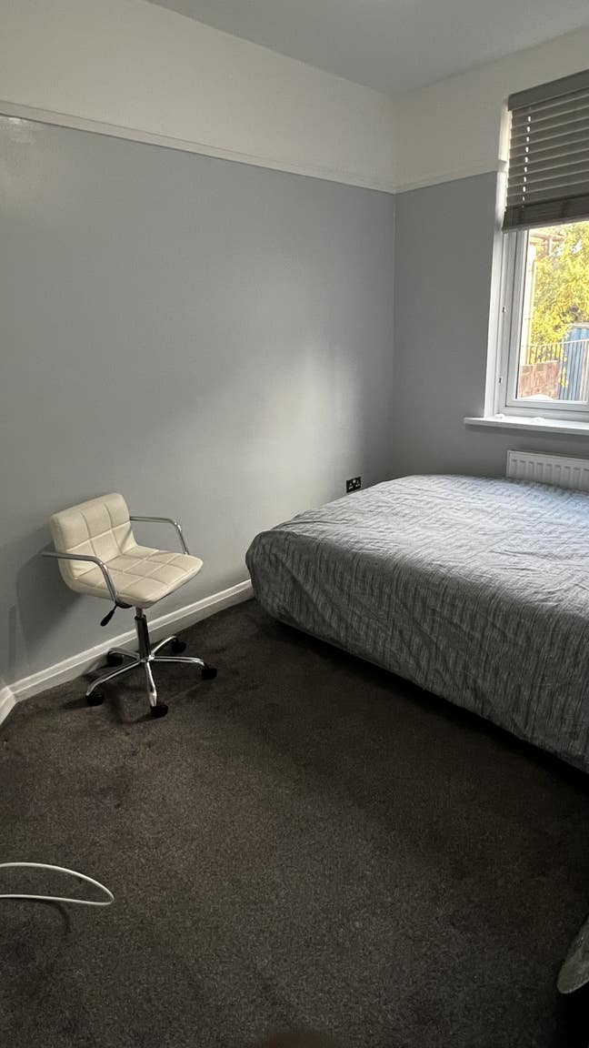 Comfortable, Bright, and Convenient! Main Photo